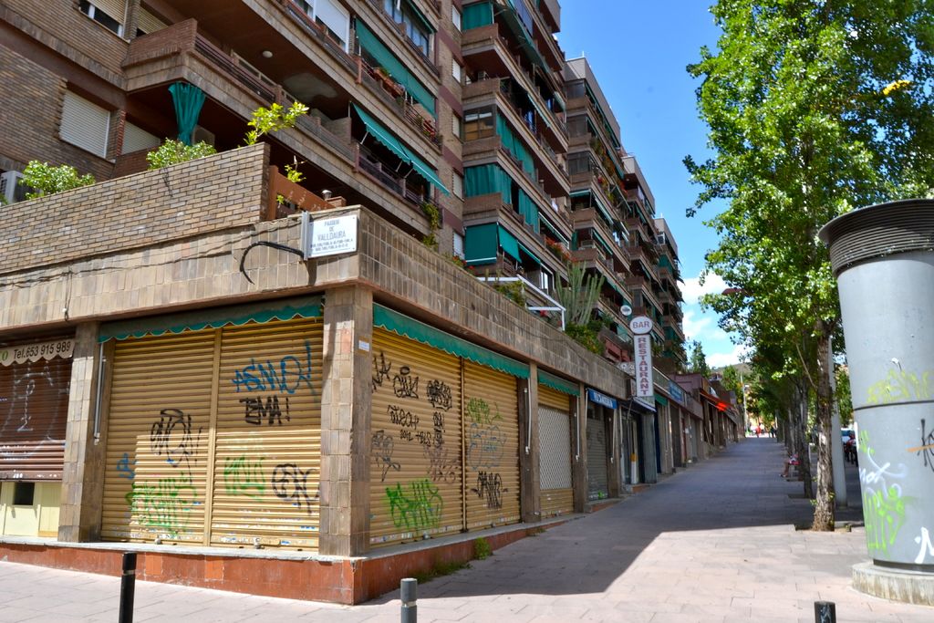 Urban Gardening for City-Dwellers: Implementing Permaculture Concepts in an Urban Setting