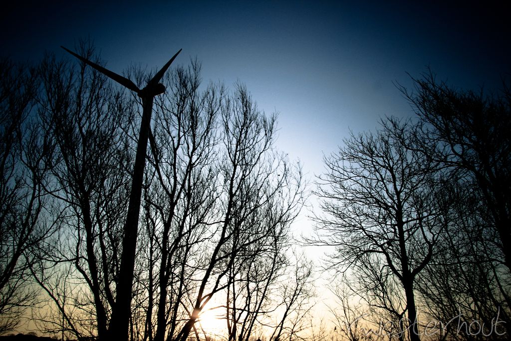 Dongfang Installs Large-Scale Turbine from Our Site for Trials, Claims to be the Largest...