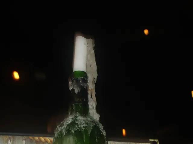 Free Winning Opportunities with KayaMoola