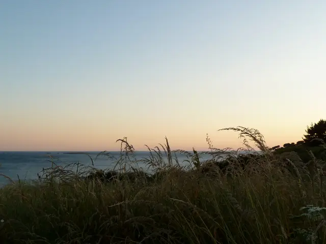 Water-saving Technique in Permaculture: Efficient Use of Mulch for Conserving Water Resources