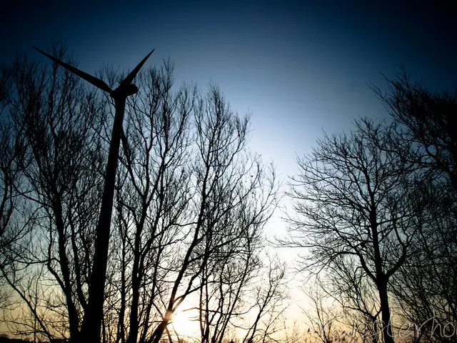 Dongfang Installs Large-Scale Turbine from Our Site for Trials, Claims to be the Largest...